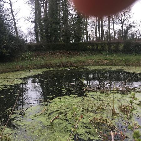Saint-Arnoult  Le Colombier De Royaumontヴィラ エクステリア 写真