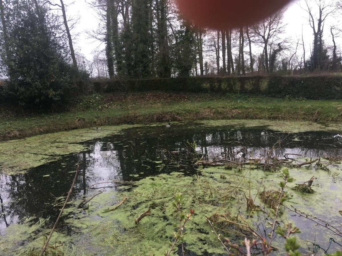 Saint-Arnoult  Le Colombier De Royaumontヴィラ エクステリア 写真